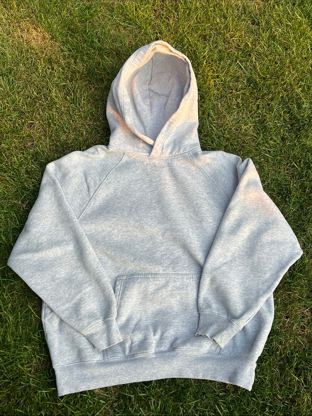 Aritzia Cozy Sweatfleece Mega Raglan Hoodie
